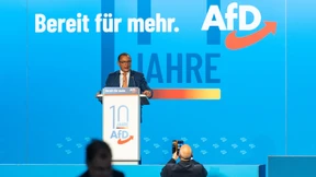„Sogar Friedrich Merz will inzwischen lieber Parteichef der AfD sein“