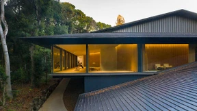 Der Geist in den Bäumen