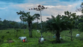 Landwirtschaft auf Entzug