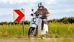 Die haben einen Vogel