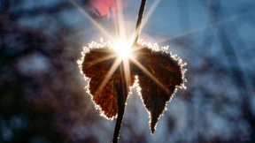 Das Minus wird zur Ausnahme