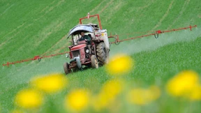 Grüne fordern den „Pestizidausstieg“