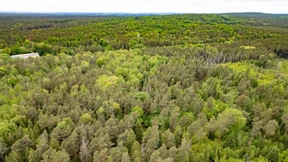 Junge Frau tot aufgefunden – 16-Jähriger unter Verdacht