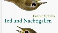 Irlands Betrüger und Betrogene