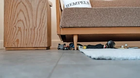 200 Redensarten unter einem Dach