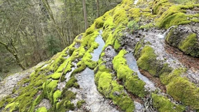 Wie man Wasserquellen findet