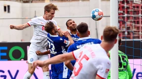 Wilde Schlussphase im Wildpark