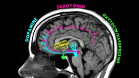 Eine Runde Lieben im Leerlauf