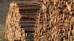 Deutschland hat Ressourcen für 2022 verbraucht