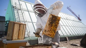 Was wünschen Sie sich 2020 von der Kunst?