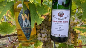 Riesling-Aromen für das Cocktailglas