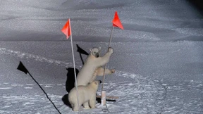 Bis zur letzten Patrone