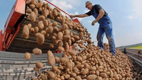 Die Baywa will sich gesundschrumpfen