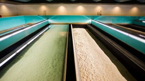 Waschwasser für die Toilette