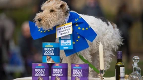 Hunde kläffen gegen Brexit