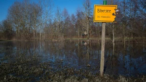 Biber schaffen es auf Google Maps