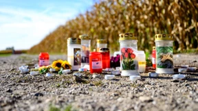 Hunde beißen Joggerin tot – 15 Monate Haft für Halterin