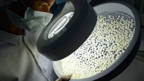 Diese Unternehmen machen noch Geschäfte mit Russland