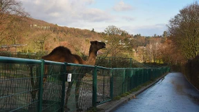 Freier Durchgang mit der Chipkarte