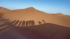 Hier ist nicht nur die Düne glücklich