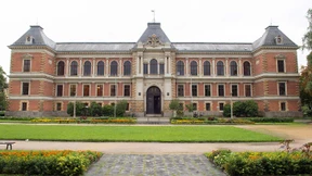 Ihr grober Plan: irgendjemanden zu töten