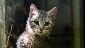 Mit Sendern in die Natur