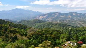 Wie Costa Rica zum Klima-Sauberland werden will