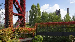 In Duisburg wächst rot-grün zusammen