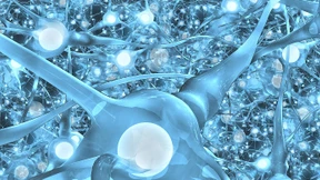 Die vertrackte Sache mit der Sprache