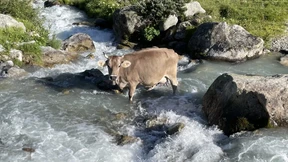 Der Weg des Wassers schenkt Gelassenheit