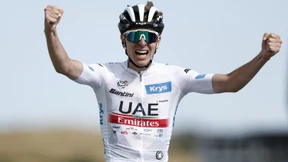 „Er wird das Feld in Stücke reißen“