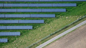 Wo die Renditen grün sind