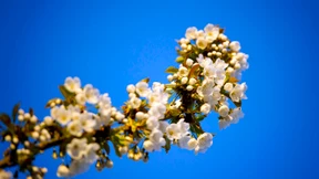 Der Mensch steckt nicht im Korsett der Jahreszeiten