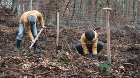 Frankfurter packen an, um ihren Stadtwald zu retten