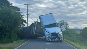 250 Millionen Bienen entkommen – Polizei warnt vor Insekten