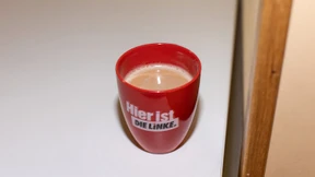 Das Siechtum der Linkspartei