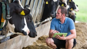 So holen Sie sich schnelles Internet ins Haus