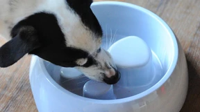 Schluss mit Schlingen