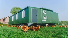 Ställe für glückliche Hühner