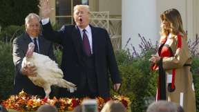 Ein antiquiertes Majestätsrecht