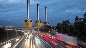 Interessiert kein Schwein