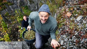 Intelligente Frische