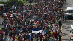 Wallfahrt zum Paradies