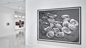 Spuren einer Sammlung