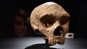 Im Eiltempo zum Zwerg