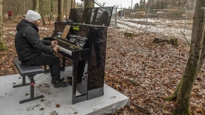 Kunst gegen Kettensägen