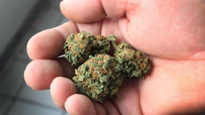 Synthetisches Rauschgift auf dem Vormarsch