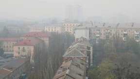 Wurden die Brände um Tschernobyl absichtlich gelegt?