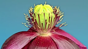 Neugierig, wie sich so ein Trip wohl anfühlt