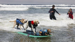Mit Schwimmwesten und kreativen Kostümen